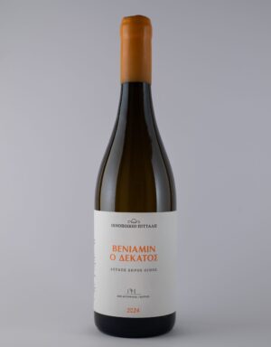 Βενιαμίν ο Δέκατος